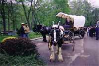 Molly participates in the National Pike Wagon Train 2002. She of course was the only Gypsy Horse in attendance.