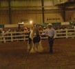 Gypsy Horse Slainte and Daniel at the Ohio Equine Affaire in 2004