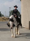 Vonnie and Angel getting ready for the Gypsy Vanner Western Pleasure class.