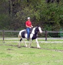 Daniel and Angel. This was her second session under saddle.