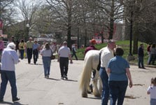 Drum Horse colt, Apollo and Daniel make their way thru the crowd at Equine Affaire in Ohio, 2005