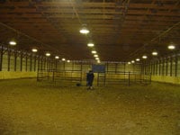Nearly a full shot of our indoor. That is a Drum Horse gelding of ours, Zeus being worked.