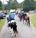 Farmington Parade, Headliner, Gypsy Vanner stallion owned by N'co Gypsy Vanners, Drum Horse Guinness and Gypsy Horse Molly all participated.