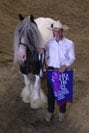 Gypsy Horse Slainte winning Supreme Grand Champion Vanner, Ohio State Fair 2005